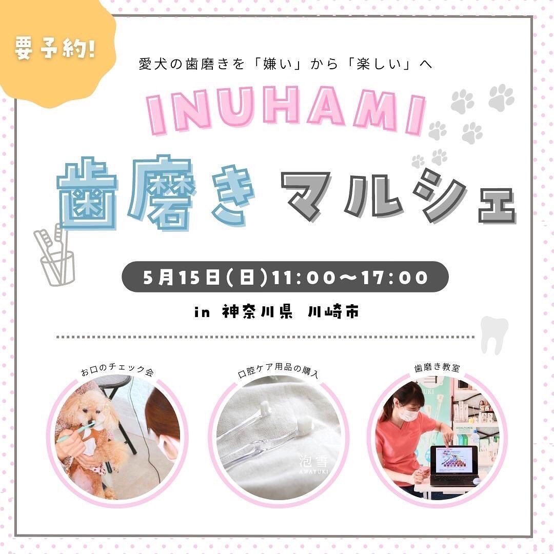 INUHAMI−歯磨きマルシェ−