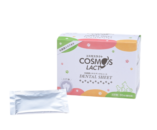 乳酸菌生成エキス配合デンタルシート